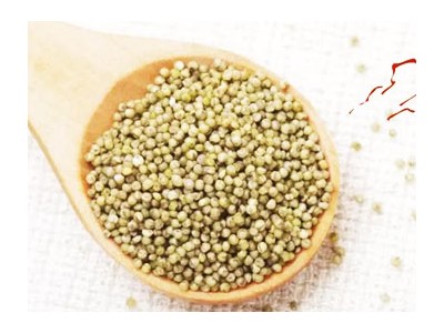 绿色有机小米出售-供应潍坊物超所值的有机小米