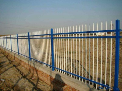 安平铸铁护栏网生产厂家_在哪能买到价格适中的锌钢护栏网