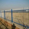 安平铸铁护栏网生产厂家_在哪能买到价格适中的锌钢护栏网