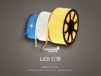 led灯带控制器_佛山价位合理的灯带品牌推荐