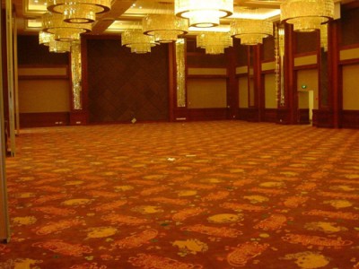 酒泉家居地毯-实惠的酒店地毯供应商，当选兰州风腾建材