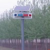太阳能警示灯多少钱-湖南航旗交通设施提供质量硬的太阳能警示灯