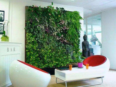植物背景墙|广州有口碑的垂直立体绿化生态设计公司