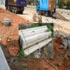广东深圳市维护工程采购的树木水泥扶立柱桩订购送货厂家