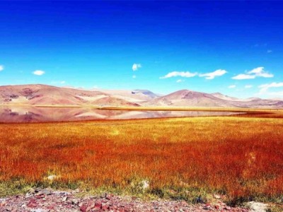 阳江至新疆自驾游-专业的西藏旅游组队散客拼团提供