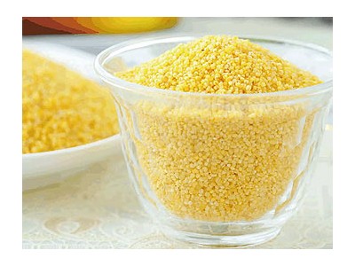 优质黄小米价格-价格合理的有机小米棒棒农业供应