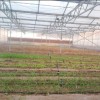 内蒙大棚水肥一体化-潍坊销量好的大棚水肥一体化供应