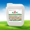 含腐植酸水溶肥批发-大量供应优惠的腐殖酸水溶肥