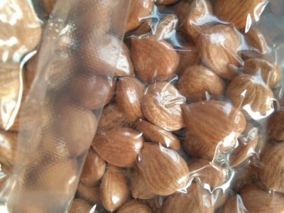 杏米供应商|潍坊品牌好的杏米批发