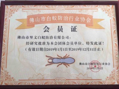 可信的白蚁防治-广东周到的白蚁防治公司