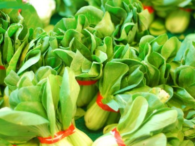 广州蔬菜配送-提供高质量的蔬菜配送服务