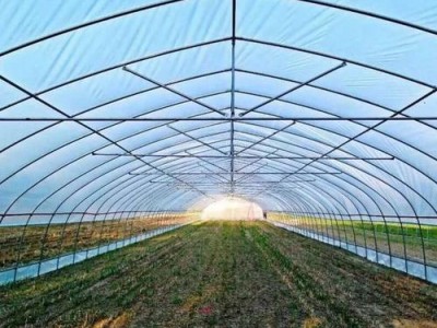智能养殖温室承接-智能养殖温室专业设计建造