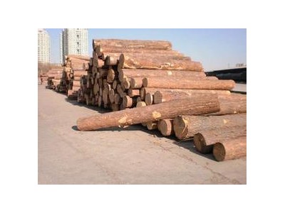 青海批发木材-在哪能买到可信赖的方木呢