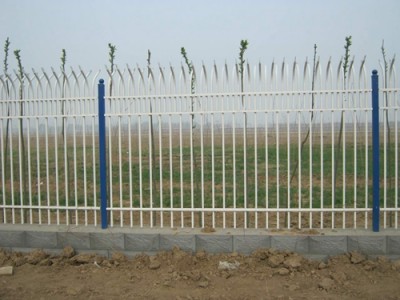 安平铁艺护栏网现货_衡水哪里有卖上等锌钢护栏网