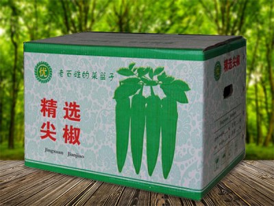 蔬菜纸箱供应商|山东蔬菜纸箱生产厂家