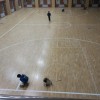 天津运动木地板-想要购买口碑好的运动木地板找哪家