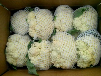 漳州蔬菜配送公司-西月果蔬供应服务周到的蔬菜配送
