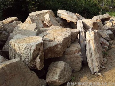 安徽龟纹石生产厂家-供应宿州高性价龟纹石