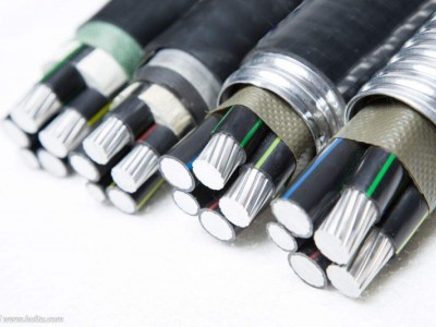 哈尔滨电力电缆供应-新款电力电缆市场价格