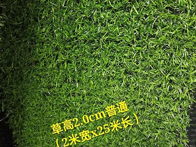 北京足球场人造草坪报价-邯郸哪里有供应优惠的人造草坪