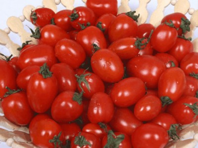 黑美人小番茄批发_品质好的小番茄上哪买