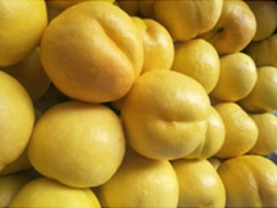 黄珊瑚黄金油桃树苗-病虫害低的黄珊瑚黄金油桃出售
