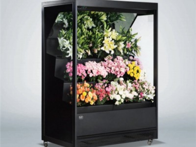 鲜花保鲜柜价格_惠家制冷提供安全的鲜花保鲜柜