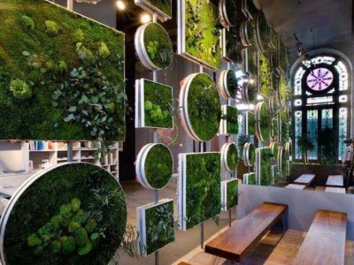 广东植物背景墙哪家好|广东放心可靠的垂直立体绿化生态设计推荐