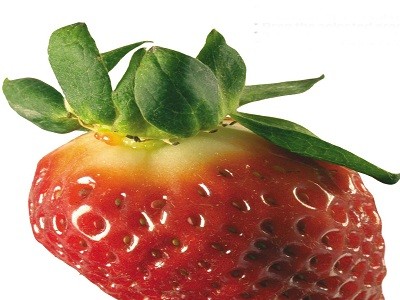 苏州专业果蔬配送公司-苏州可靠的水果配送推荐