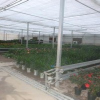 专业花卉温室大棚-有保障的花卉温室大棚建造就在富尔农业科技