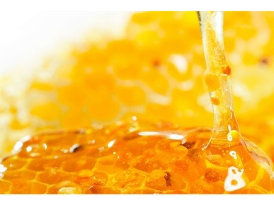 山东蜂蜜|潍坊哪里蜂蜜优惠