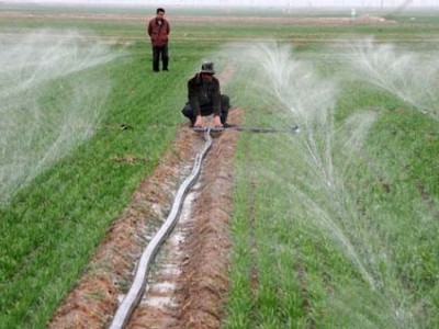 喷灌设备-泽润节水供应实惠的喷灌