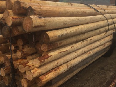 防腐木杆规格-划算的防腐木杆清原合众木器供应