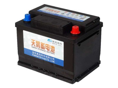 灞桥天鹅蓄电池哪家有|西安星瑞机电设备高质量的西安天鹅蓄电池_你的理想选择