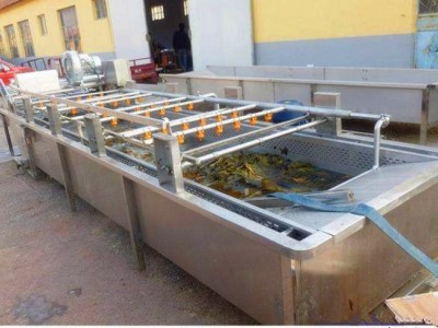 广州洗菜机设备厂家-耐用的清洗输送设备在哪可以买到