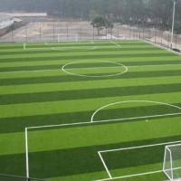 邯郸足球场人造草坪-成活率高的足球场人造草坪批发
