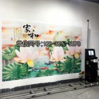 专业的墙面广告喷绘设备墙壁背景打印机户外墙体3d彩绘机-墙面广告喷绘设备提供商