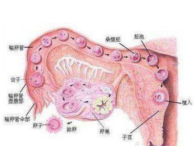 【就医找】玉玺堂-青州卵巢性不孕专科，不孕不育症专科哪家好