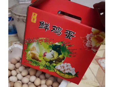 鸡蛋手提礼盒-山东专业鸡蛋纸箱厂家