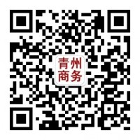 专业可靠的青州商务网服务推荐-青州古城价格