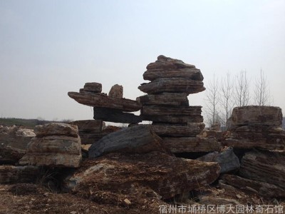 千层石生产厂家-宿州款式精美的千层石哪里可以买到