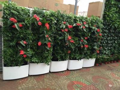 广州立体绿化公司_不错的垂直立体绿化生态设计出自植物墙
