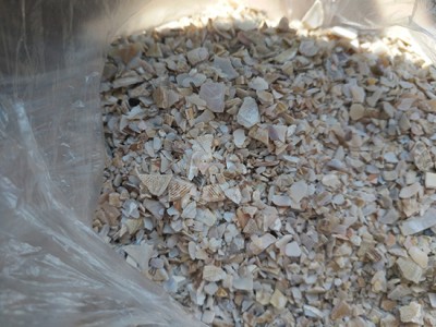西藏贝壳粉-好的贝壳粉市场价格