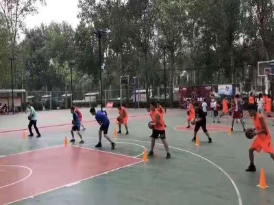 价格划算的郑州青少年篮球训练_资深的郑州青少年篮球训练优选诚悦篮球