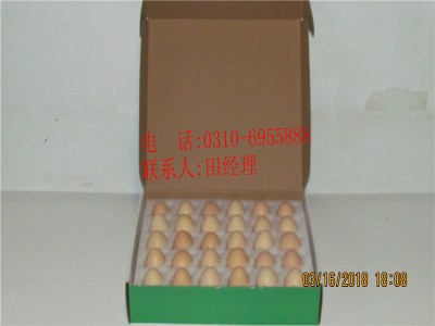 保定鸡蛋包装箱_优良鸡蛋包装箱生产厂家