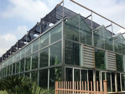 生态餐厅温室设计 玻璃温室建设 玻璃温室企业 辉腾温室