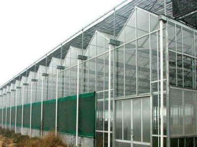 玻璃温控大棚 玻璃蔬菜温室 玻璃蔬菜大棚造价 辉腾温室
