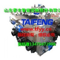 泰丰现货供应YN32-100GSCV带快速缸，下腔Dg10