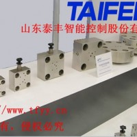山东泰丰液压厂家生产直销TLFA32DBWT-7X盖板