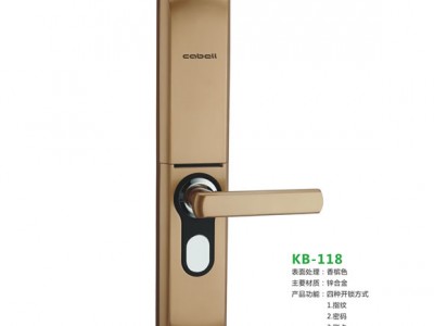 深圳厂家供销KB-118 香槟色室内门指纹锁系列